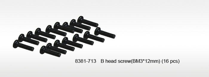 B head screw (BM3*12mm) (16 pcs)